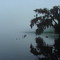 Steamboat Dock Ruins - Bluffton, Florida