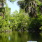 Alexander Springs Run