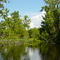 Alexander Springs Run