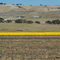 Farm near Gilroy