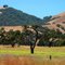 Pacheco Pass, Gilroy, CA