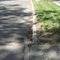 Calaveras Fault Creep