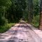 Old Deland Rd (Brick Rd) c.1917