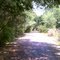 Old Deland Rd (Brick Rd) c.1917