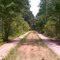 Old Deland Rd (Brick Rd) c.1917