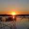 Duck hunting Sunrise