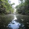 St Johns River