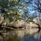 Holmes Creek