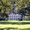 Eden Plantation