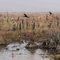 Caloosahatchee Marsh