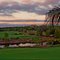 Tiburon Golf Club, Overview