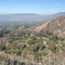 Cobb Estate - Altadena