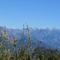 Los Angeles felett