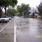 n raymond avenue
