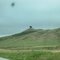 BUFFALO SOBRE LA I-25,WYOMING,USA