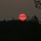 Blood Red Sunset