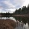 Old Orting Lake