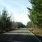 A forest road to PEAK OF PARADISE **the mount Rainier**.