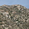 Alpine area from I-8