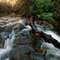 Creek in Wildwood