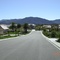 rambling rose drive