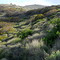 Santa Monica Mountains