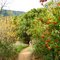 Malibu, Escondido Canyon road