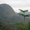 Les vertes colines d'Ebolowa
