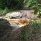 Creek Crossing