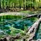 Natural Spring