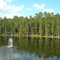 The Lake