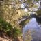Suwannee River