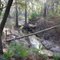 Florida Trail crossing Sugar Creek