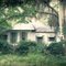 Abandoned Suwannee Springs Cottage