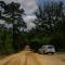 Old Centerville Road