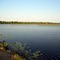 Lake Miccosukee, looking east
