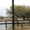 ocala flooding
