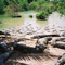 everglades 2003