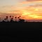 Aripeka Sunset Over Fish House