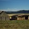 Potato Sheds