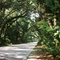 North Beach Street, Tomoka State Park, FL