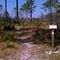Lake Trail March 2011