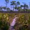 Lake Trail March 2011
