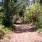 Lake Trail March 2011