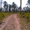 Lake Trail March 2011