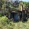Old Home Altoona Fl.