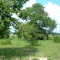 Rolling Oaks, Sorrento, Florida