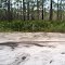 Osceola Riding