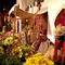 Morrocan Themed Floral Exhibit, LA County Fair