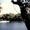 Caloosahatchee River